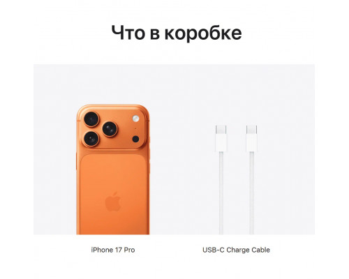 Смартфон Apple iPhone 17 Pro Max 1TB Cosmic Orange (1Sim)