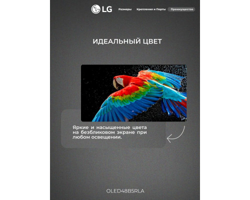 Телевизор LG OLED48B5RLA