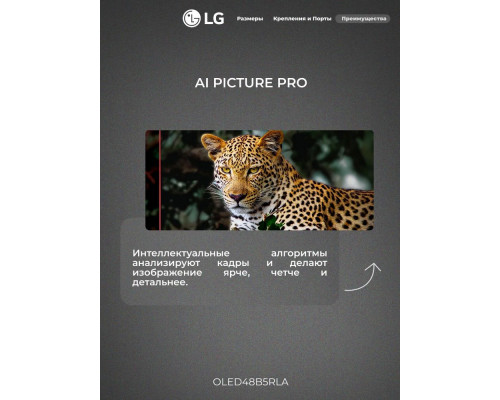 Телевизор LG OLED48B5RLA