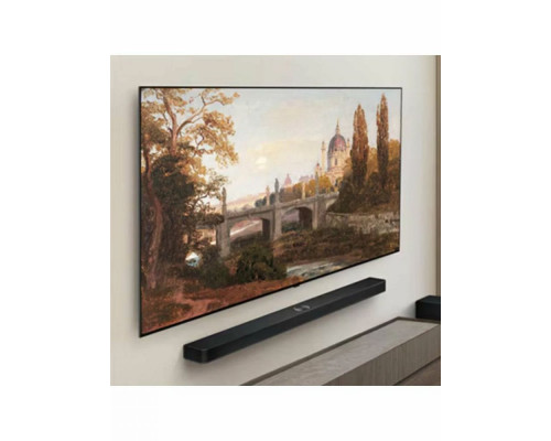 Телевизор LG OLED55B5RLA