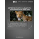 Телевизор LG OLED83C5RLA