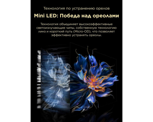 Телевизор TCL 98X11K