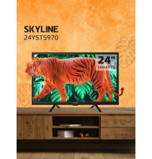 Телевизор SKYLINE 24YST5970