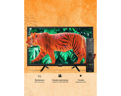 Телевизор SKYLINE 24YST5970