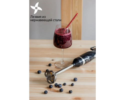 Блендер ASTIX ABL-2860