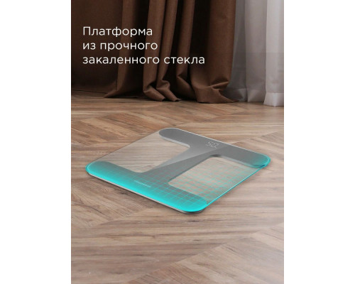 Напольные весы Redmond SB1811 серый