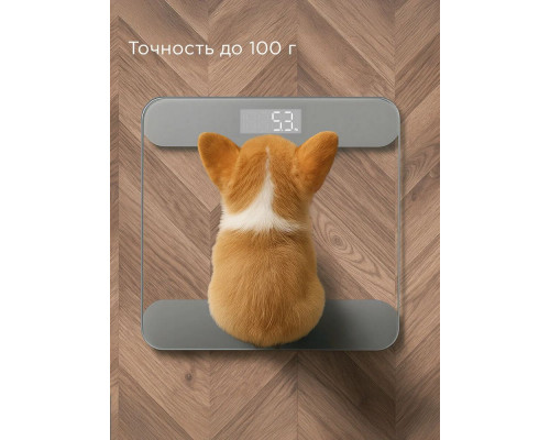 Напольные весы Redmond SB1811 серый