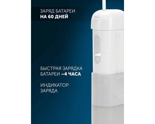 Ирригатор Polaris PWF 1002 T серый