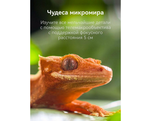 Смартфон HUAWEI Pura 80 Pro 12/512Gb красный