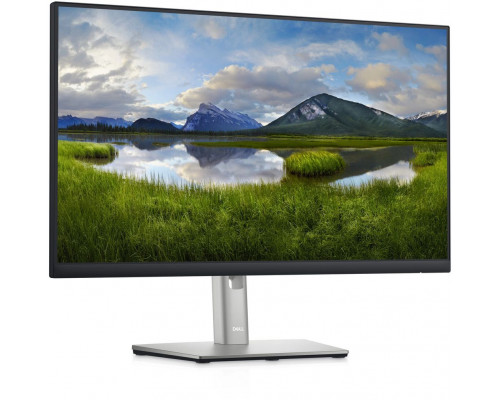 Монитор 23.8" Dell P2422HE