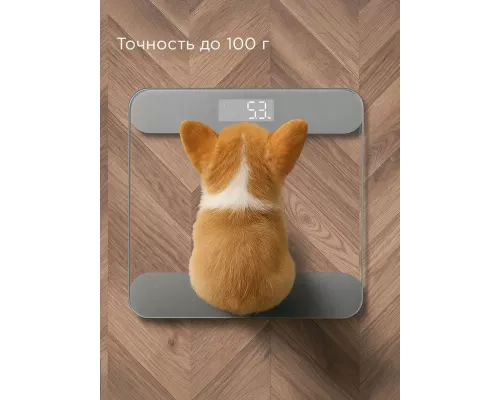 Напольные весы Redmond SB1811 серый