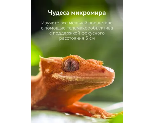Смартфон HUAWEI Pura 80 Pro 12/512Gb красный
