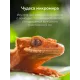 Смартфон HUAWEI Pura 80 Pro 12/512Gb красный