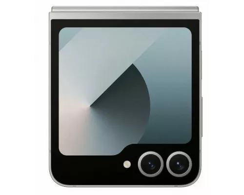 Смартфон Samsung Galaxy Z Flip 6 5G 12/256Gb серый