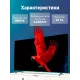 Телевизор LG 55UR801C черный