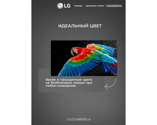 Телевизор LG OLED48B5RLA