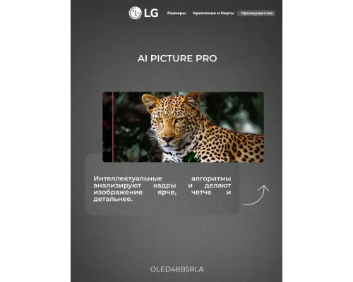Телевизор LG OLED48B5RLA