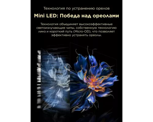 Телевизор TCL 98X11K