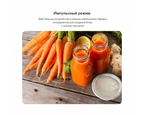 Блендер GARLYN SM-3000 черный