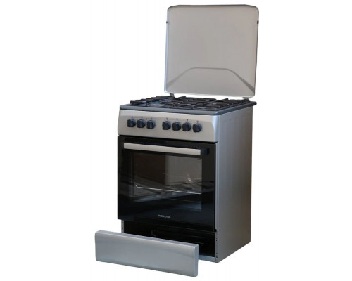 Кухонная плита RENOVA SG6E-W(ICTFDS) белый