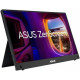 Монитор 15.6" ASUS ZenScreen MB16AHG черный