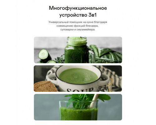 Блендер GARLYN SM-3000 черный