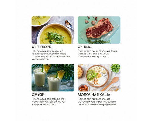 Блендер GARLYN SM-3000 черный