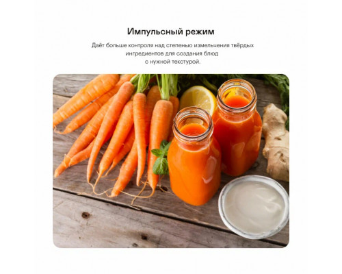 Блендер GARLYN SM-3000 черный