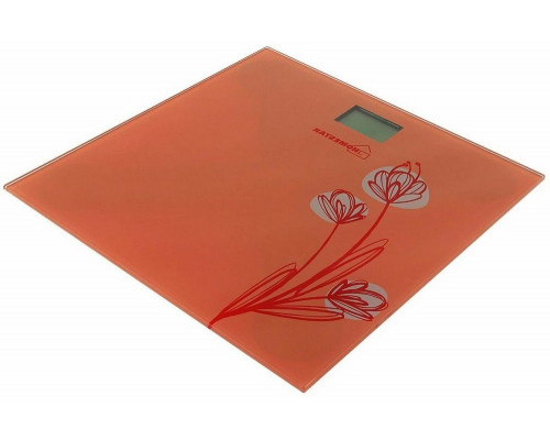 Весы напольные Homestar HS-6001A