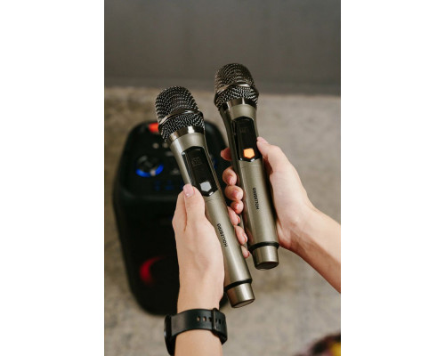 Портативная колонка HOLLEBERG HX-E823