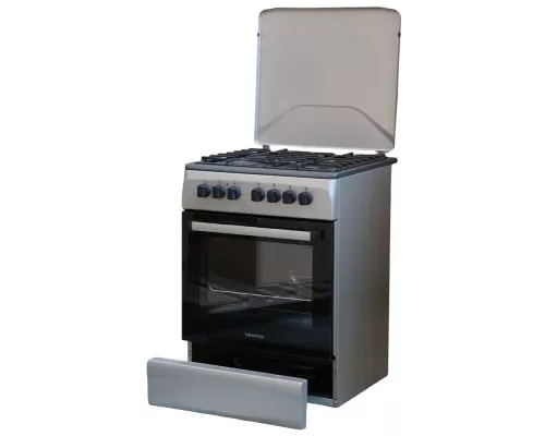 Кухонная плита RENOVA SG6E-W(ICTFDS) белый