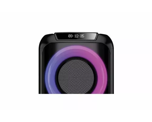 Портативная колонка AIWA CAS-620