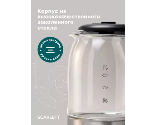 Чайник Scarlett SC-EK27G10 сталь