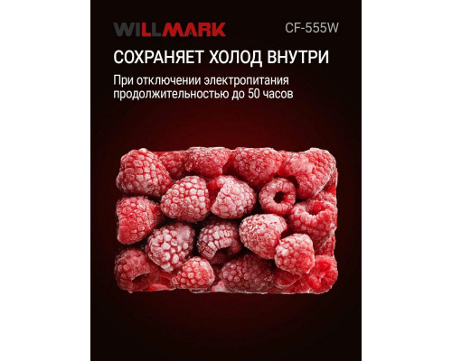 Морозильный ларь WILLMARK CF-555W белый