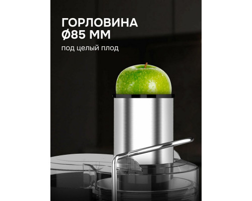 Соковыжималка Zigmund & Shtain EJ-756