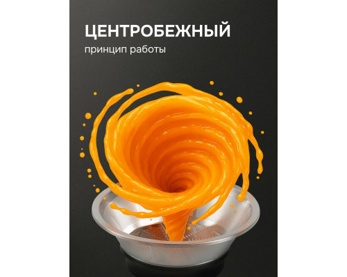 Соковыжималка Zigmund & Shtain EJ-756