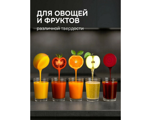 Соковыжималка Zigmund & Shtain EJ-756