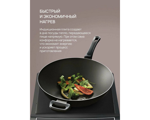 Настольная плита Blackton Bt IC132C Black