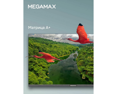 Телевизор MEGAMAX 32MG11H