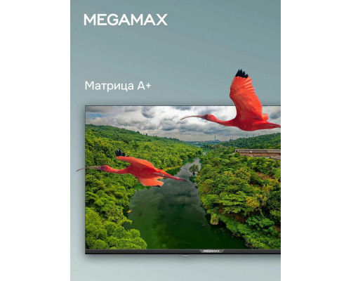Телевизор MEGAMAX 42MG11F черный