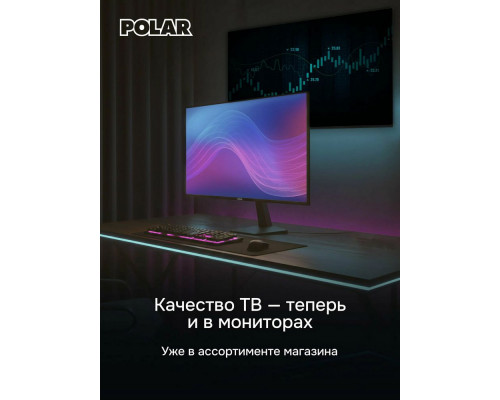 Телевизор Polar P24L52T2CSM
