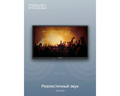 Телевизор Polar P24L52T2CSM