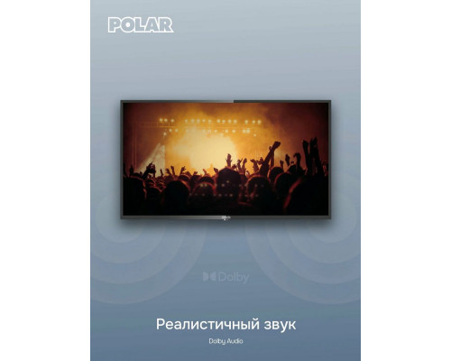 Телевизор Polar P42L22T2C