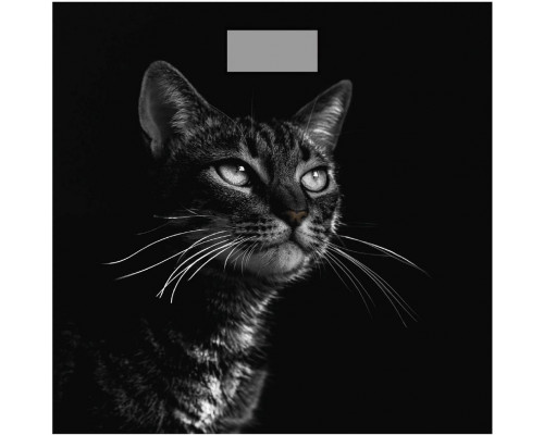 Весы напольные Добрыня DO-3006C черный кот