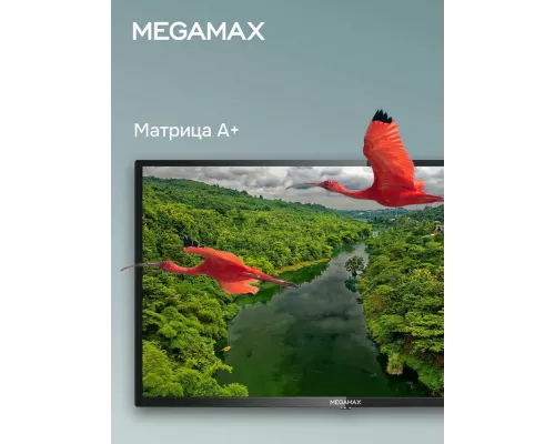 Телевизор MEGAMAX 32MG11HSM