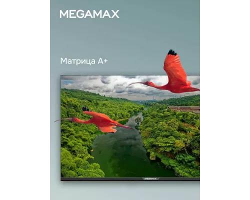 Телевизор MEGAMAX 42MG11F черный