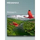 Телевизор MEGAMAX 42MG11F черный