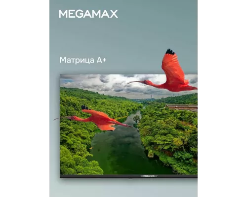 Телевизор MEGAMAX 42MG11FSM черный
