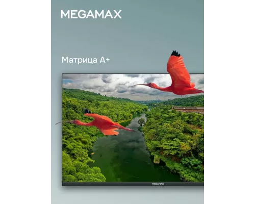 Телевизор MEGAMAX 43MG11F черный