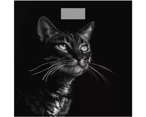 Весы напольные Добрыня DO-3006C черный кот